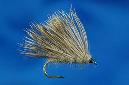 Hare's Ear Sedgehog 